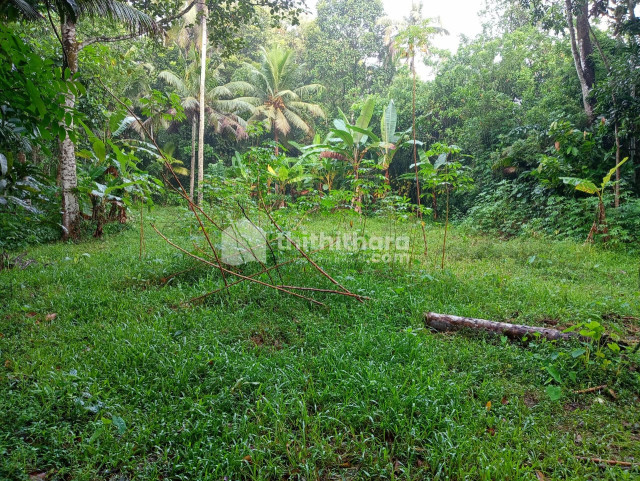 90 cent Land for sale at Chengannur , Alapuzha
