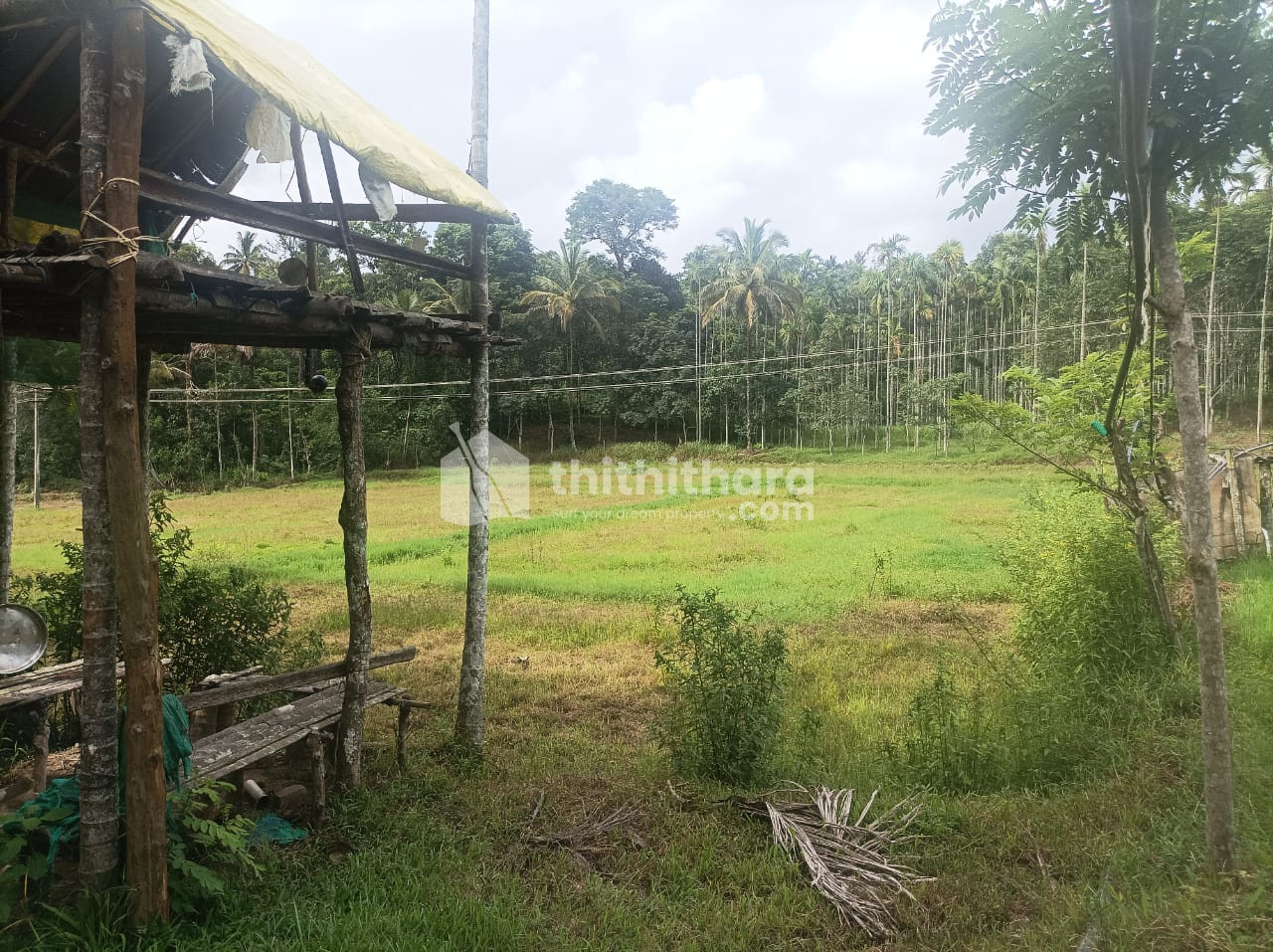 Land for sale at Moolankave wayanad