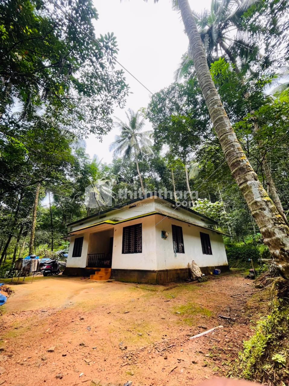 കോടഞ്ചേരിയിൽ വീടും സ്ഥലവും വില്പനയ്ക്ക്