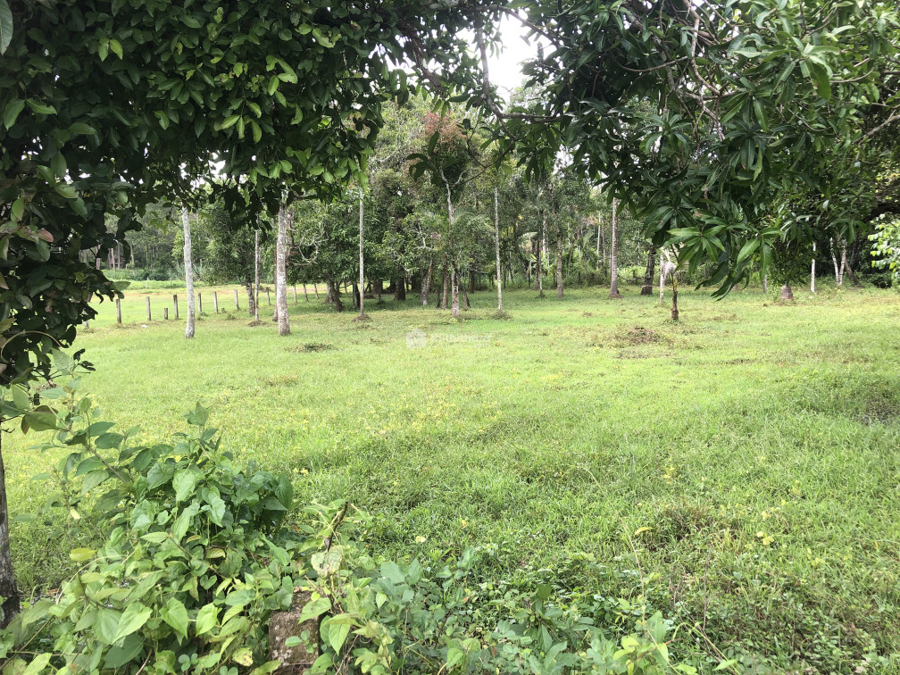 Plot for sale -27 cents at Irinjalakuda , Kadupassery 