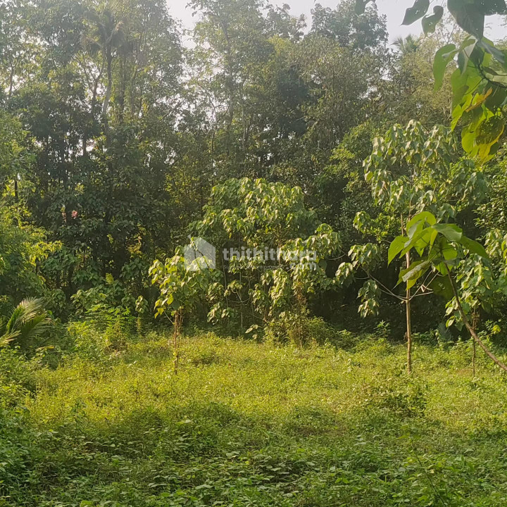  Land for sale at Kanakkary, Kottayam (plot wise also)