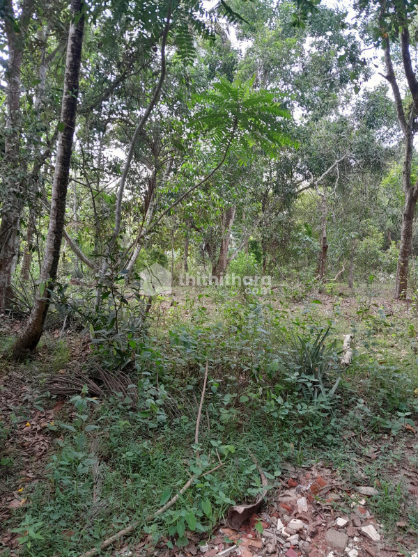 Residential Land for sale at Kanjikuzhi , Cherthala , Alapuzha