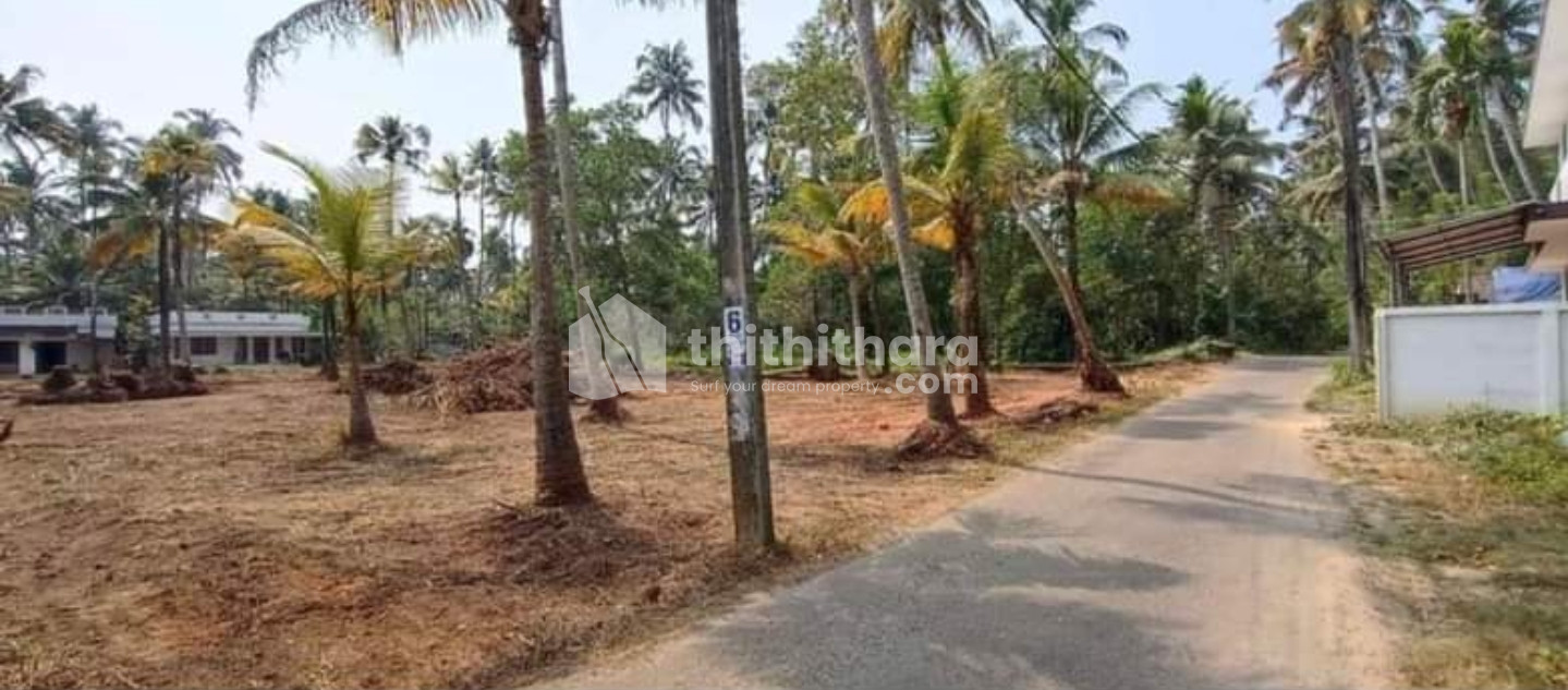 37 cent square plot in kodungallur