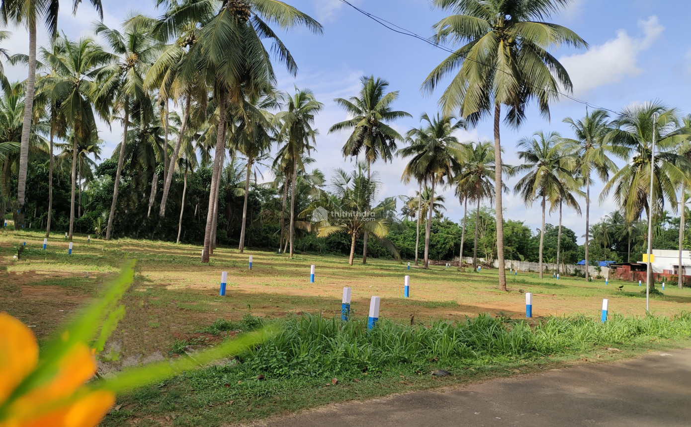 Residential plots for sale in Thrissur 