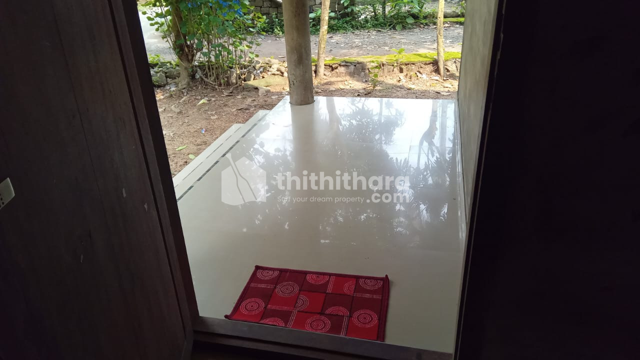 വീടും സ്ഥലവും വില്പനയ്ക്ക് For sale at Thiruthoor