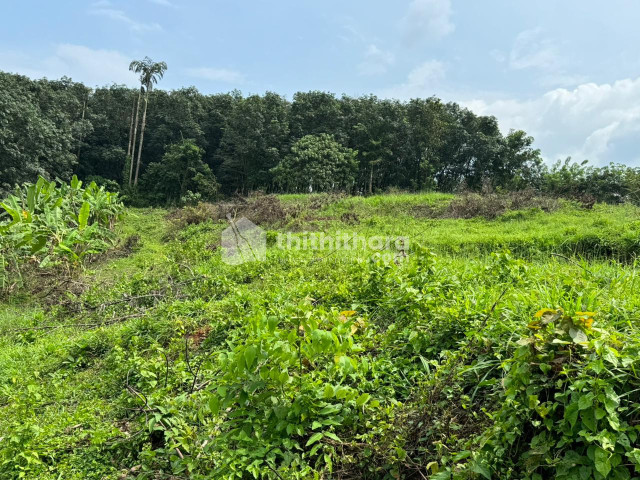 Residential land for sale at Kottappuram Palakkad