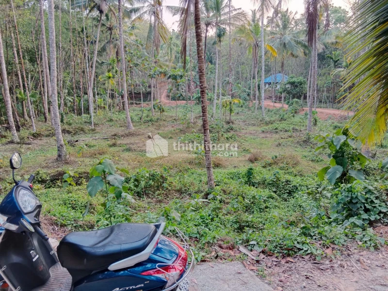 Land for sale in Mannorkonam, Nedumangad