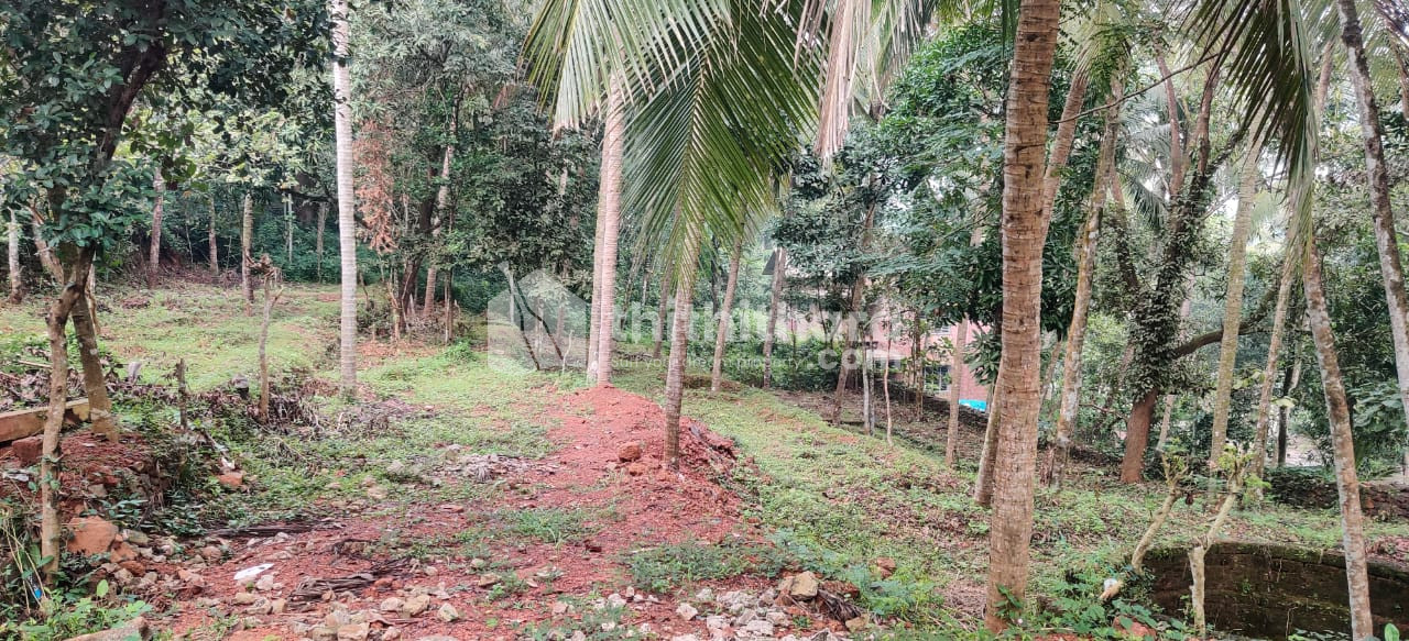  Residential Land for sale at Pallikkal Bazar Malappuram