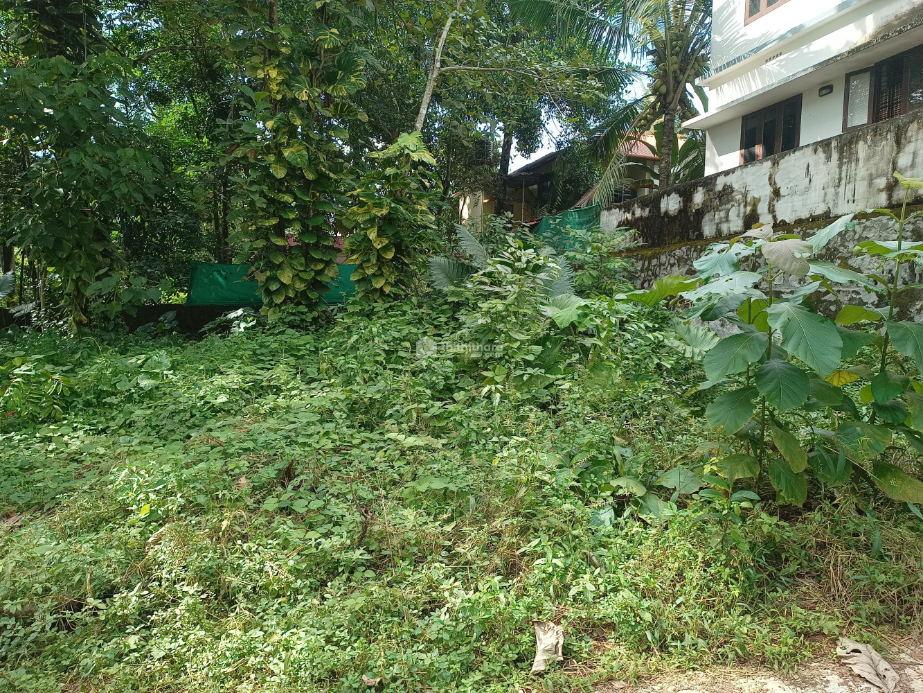 Residential Land for sale at Chengannur, Alapuzha