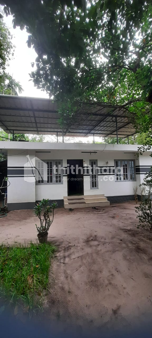 House for rent 