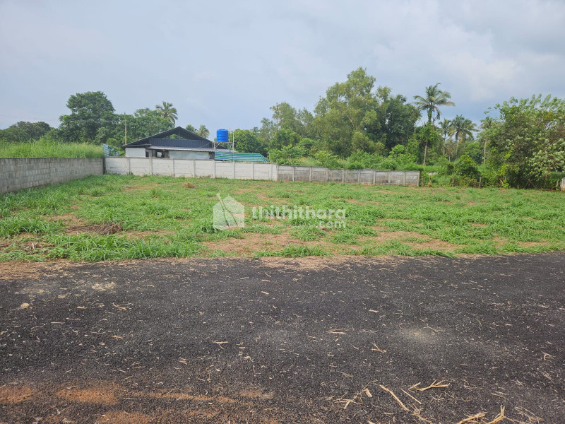 Residential land plots for sale in Pottore,Thrissur
