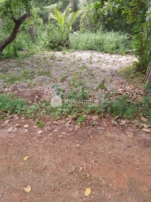 Residential Land for sale at Kallara, Trivandrum