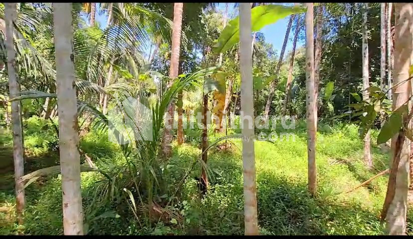 35 cent residential plot for sale second plot from main road 
