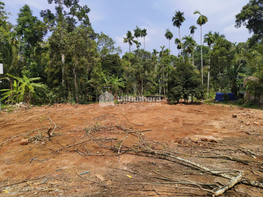 Residential Plots Available in Venmony, Alappuzha District