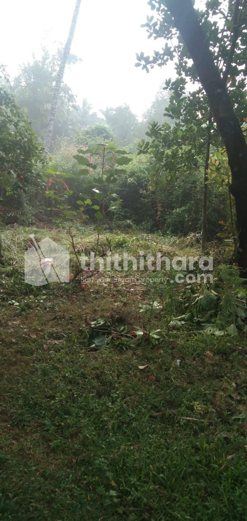 Land for sale at Koothuparamba Kannur