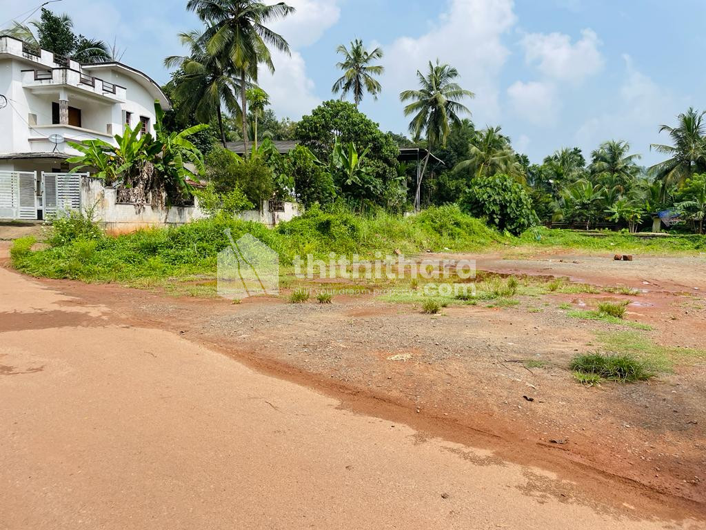 House plot for Sale in Kizhisseri, Kondotty