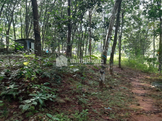 Residential Land for sale at Adoor , Pathanamthitta