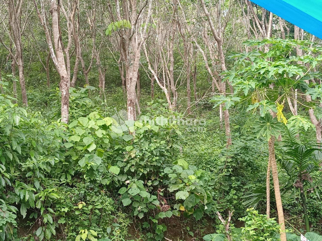Land for sale at Payyannur Kannur