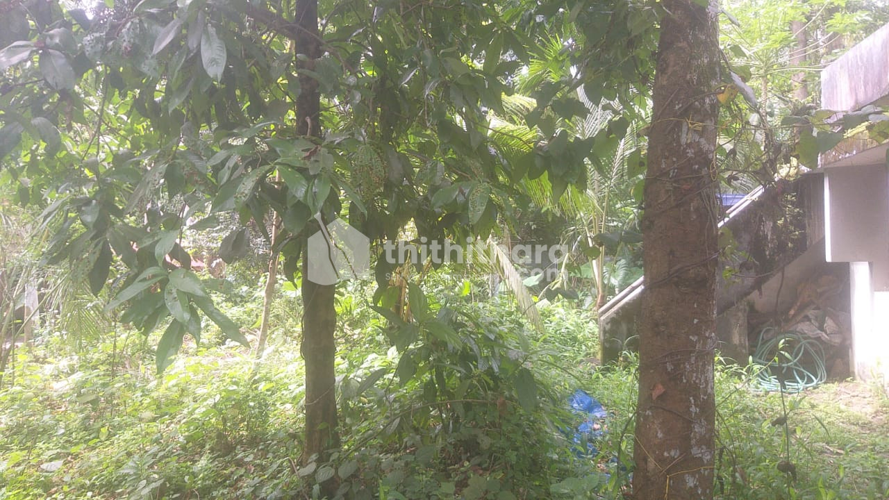 Residential Land for sale at Kayamkulam, Alapuzha