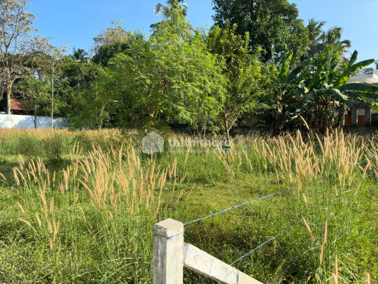 Residential land for sale in Paravattany,Thrissur