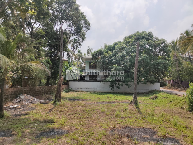Land for lease in Payyannur 
