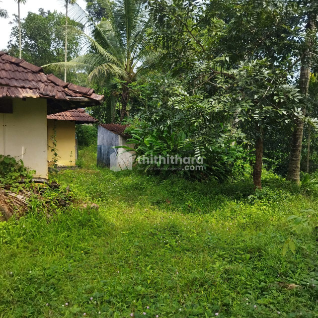 Residential land for sale at Kalpetta Wayanad