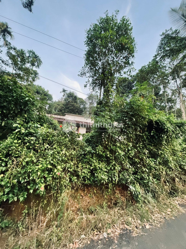 Land with house for sale at Kalpetta Wayanad