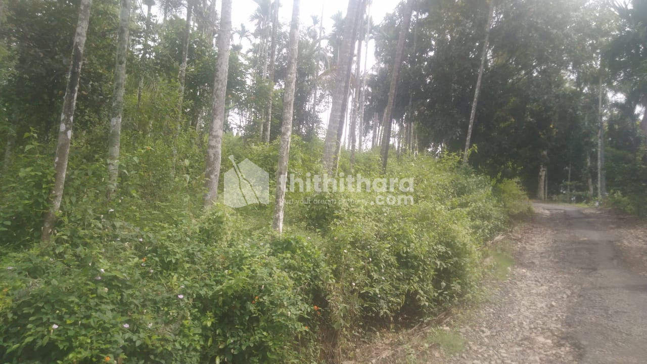 Land for sale at Kalpetta Wayanad