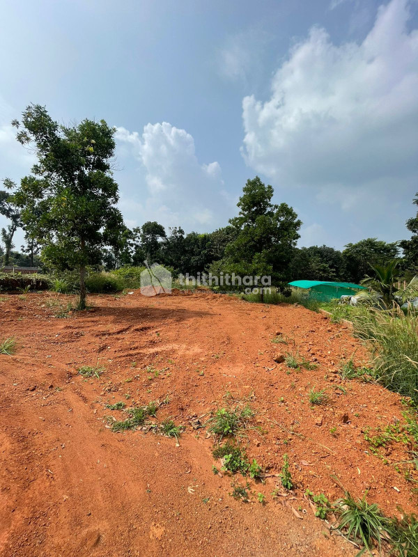 House Plot for Sale in Angadipuram, Perinthalmanna