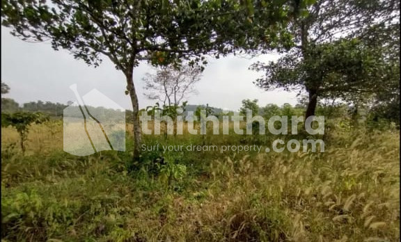 Land for sale at Ambalavayal Wayanad