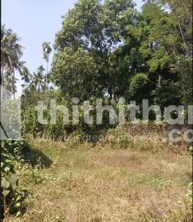 Residential land for sale in Chelakottukara