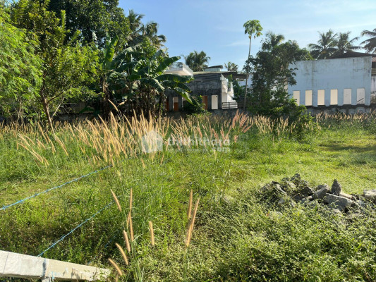Residential land for sale in viyyur