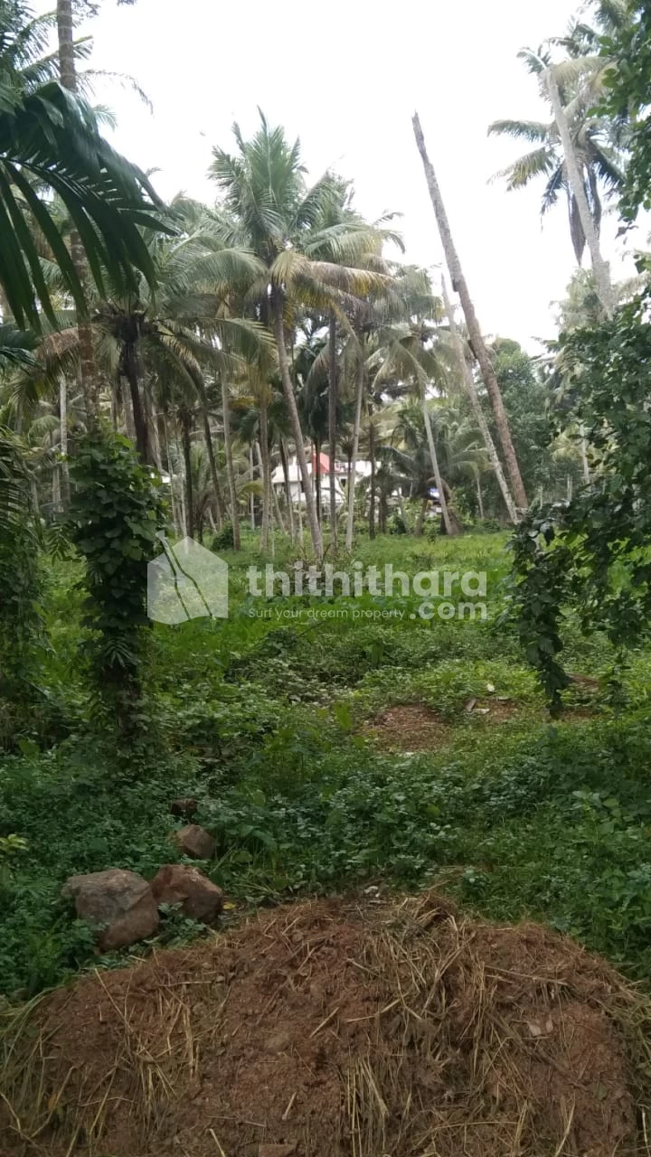 Residential Land for sale at Ernakulam