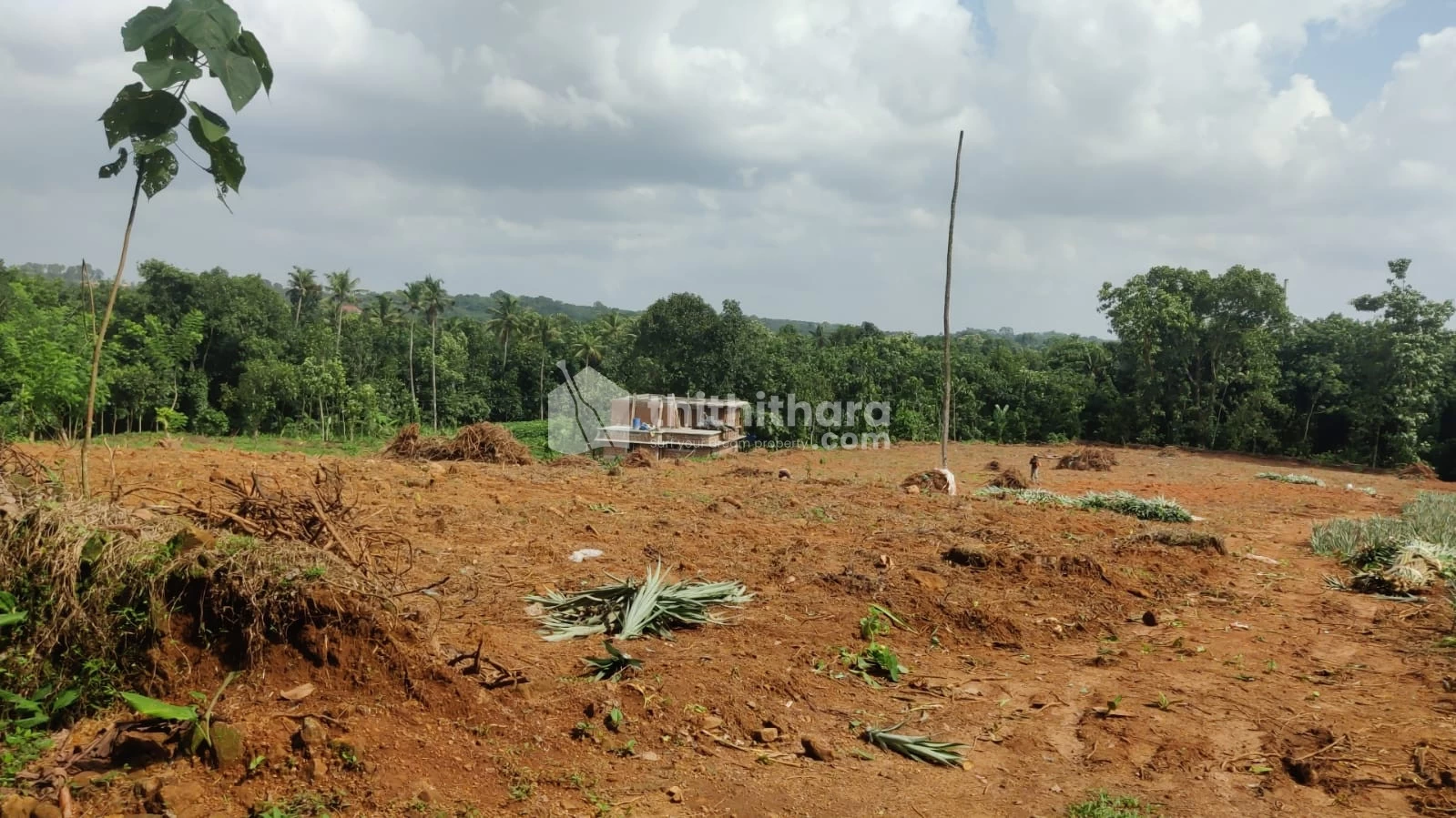 Residential Land for sale at Kothamangalam