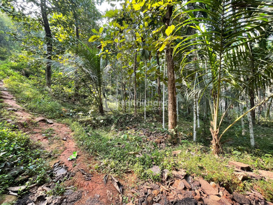 Plot for Sale at Muthuvallur,Kondotty