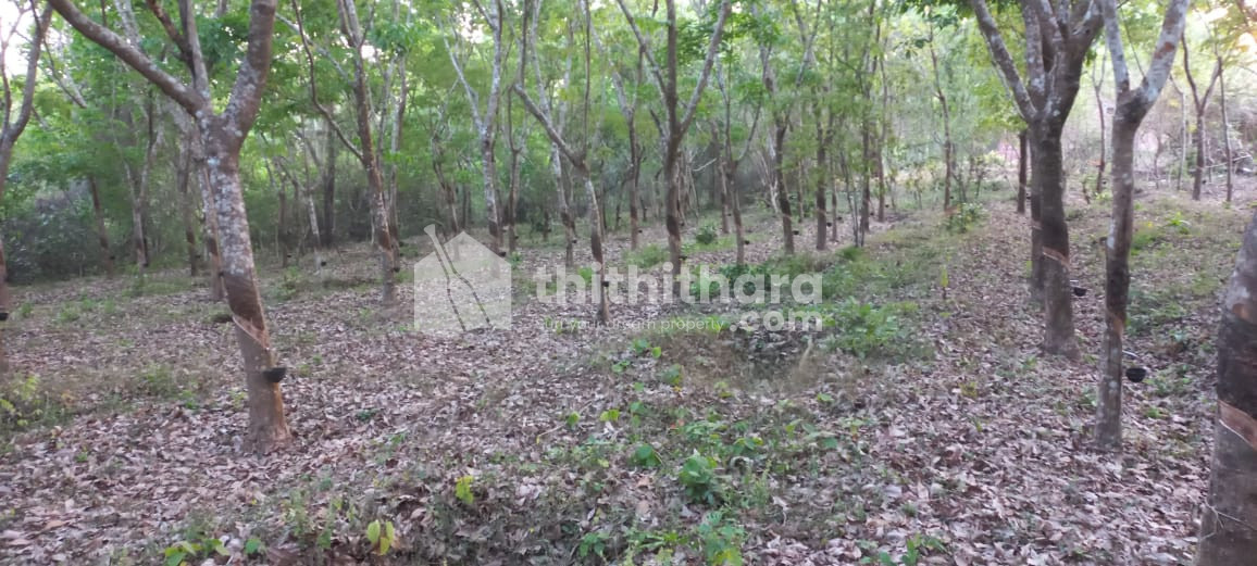15 acres of land near Pariyaram medical college