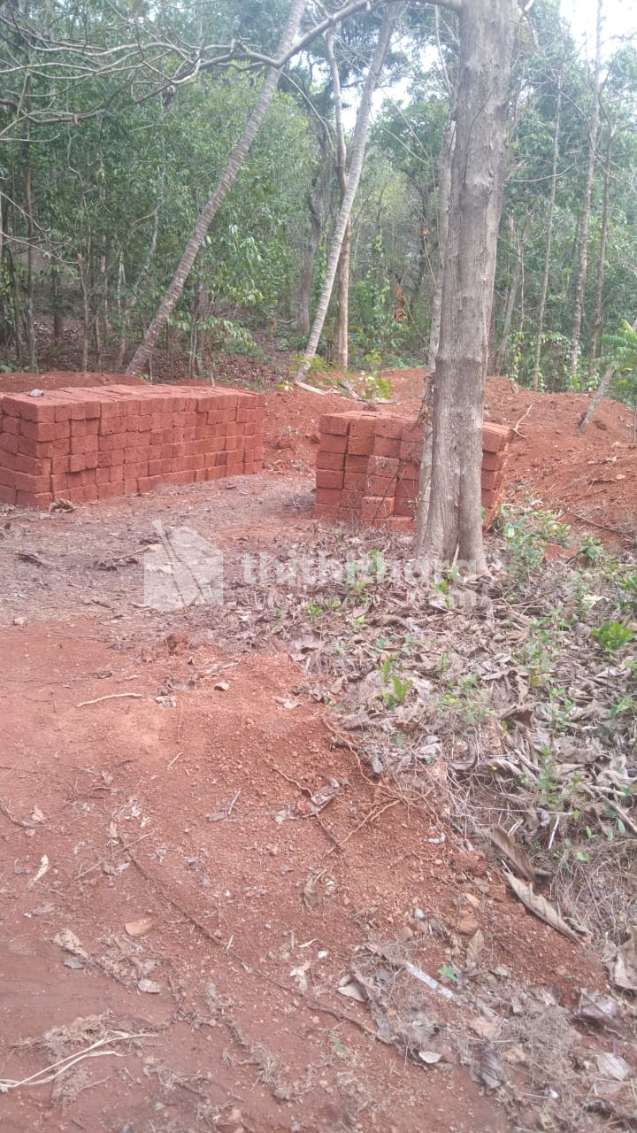 Land for sale in mattannur 