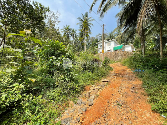 9 cent House plot for Sale in Muthuvallur, Kondotty