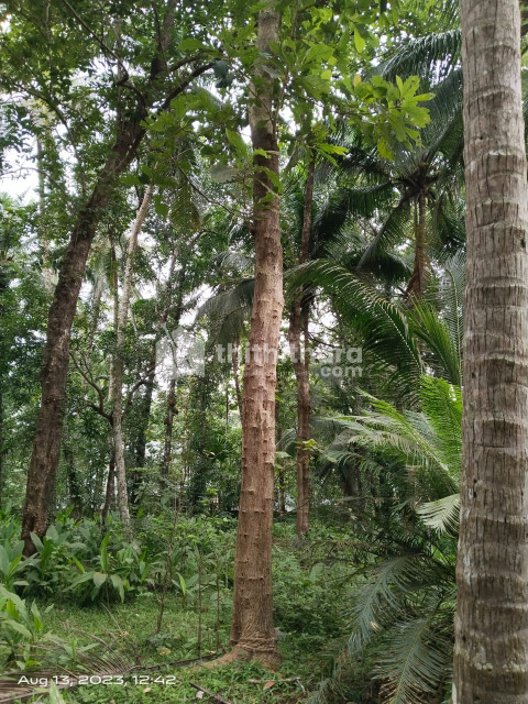 Residential land for sale in Atholi, Quilandi