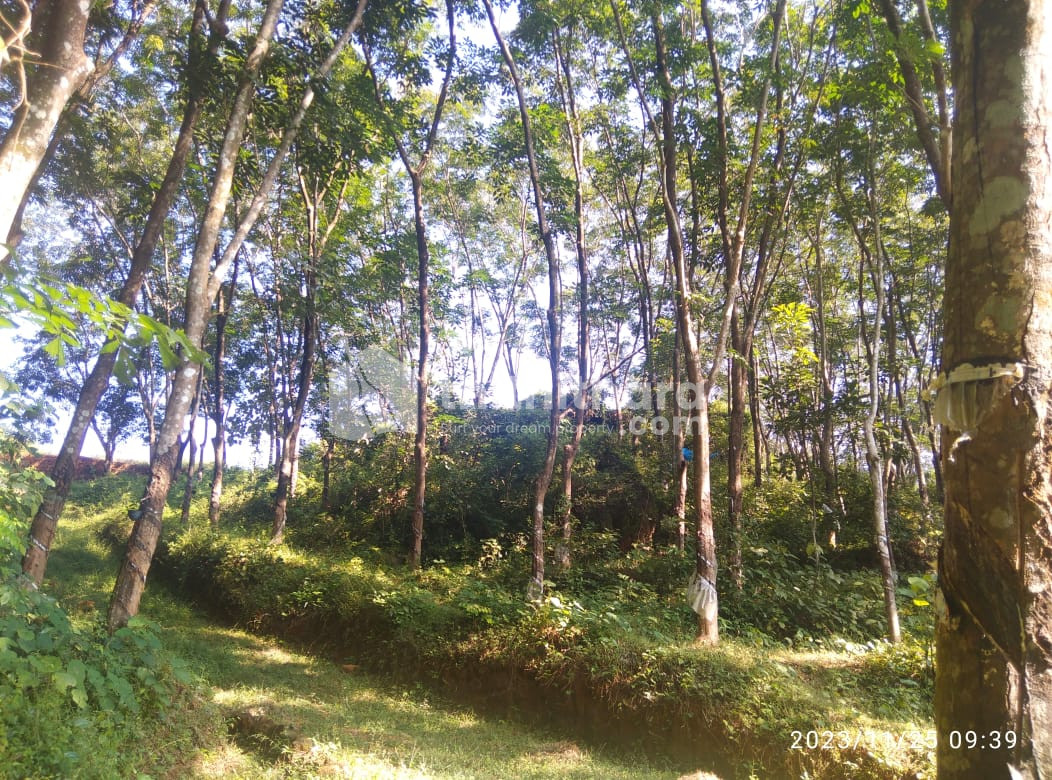 Residential land for sale at Perinthalmanna Malappuram