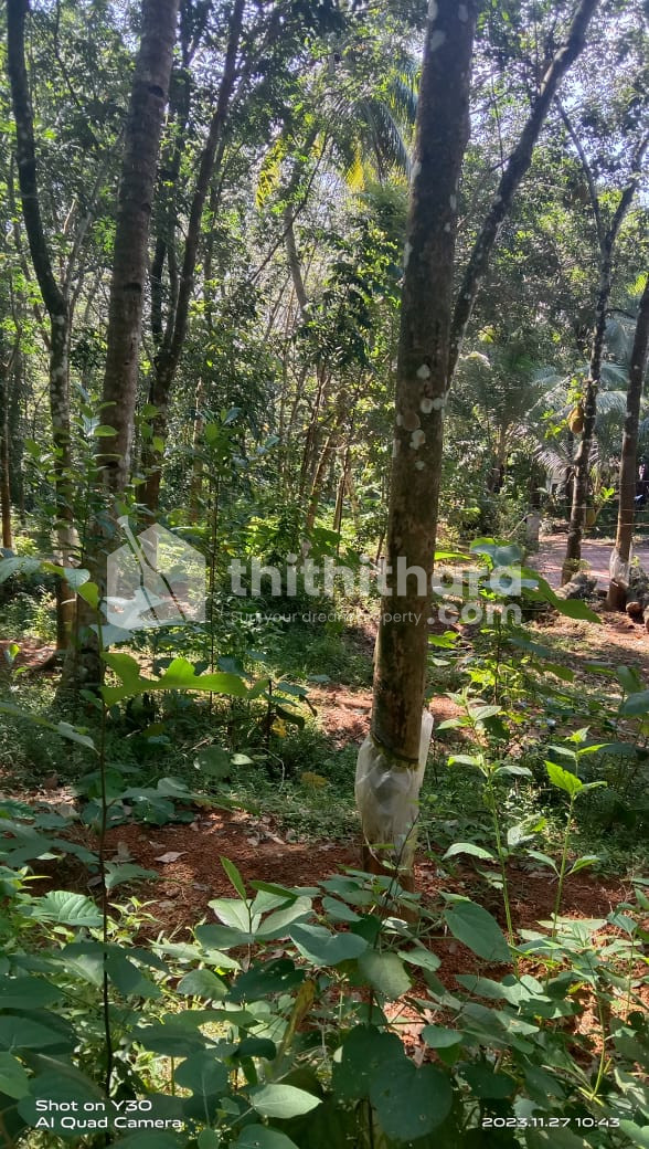 Residential Land for sale at Adoor, Patahanamthitta