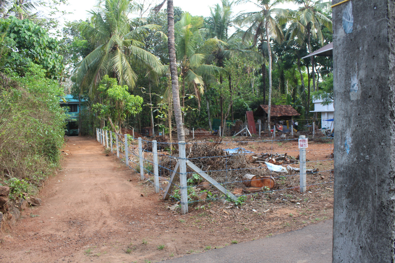 House Plot For Sale in Avanoor , Thrissur 