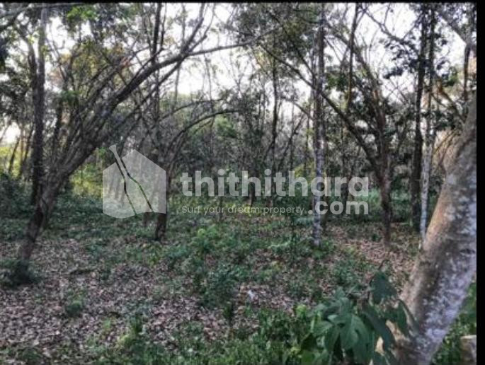 Residential Land for sale at Alapuzha