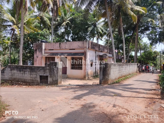 6.5 cent land included house for sale in Mangalapuram 