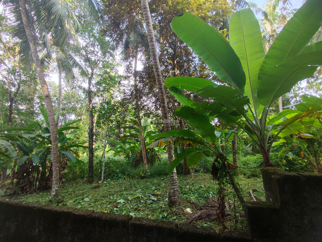 Land for sale in Devathiyal, Calicut University