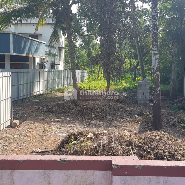 LAND FOR RENT IN ALAPUZHA