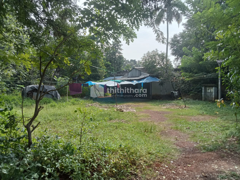 മാള അഷ്ടമിച്ചറയിൽ 15 സെന്റ് വില്പനക്ക് 