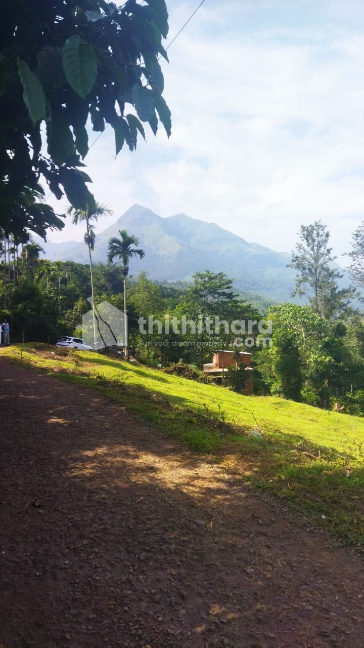 Commercial plot for sale at Kalpetta Wayanad 
