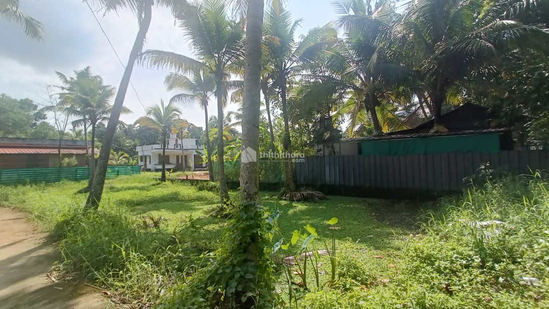 11 Cent Rectangular plot for sale in Velanchira, Kayamkulam