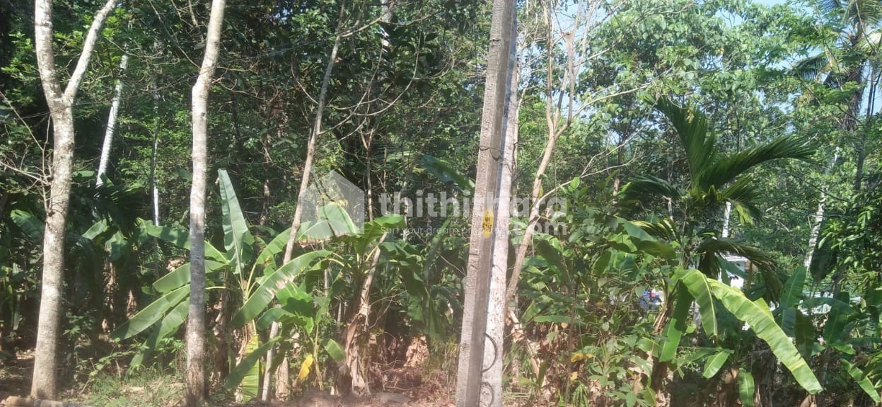 Land for sale in Lakkattoor, Kottayam